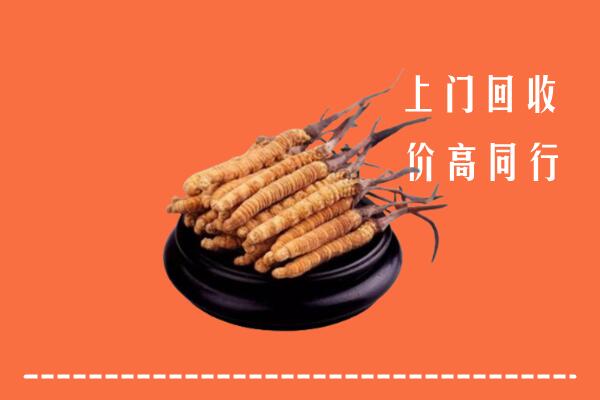 高价求购：巴音郭楞州和硕回收散虫草