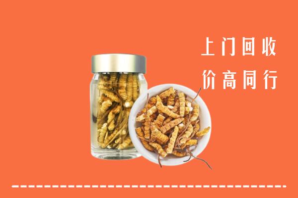 巴音郭楞州和硕回收冬虫夏草